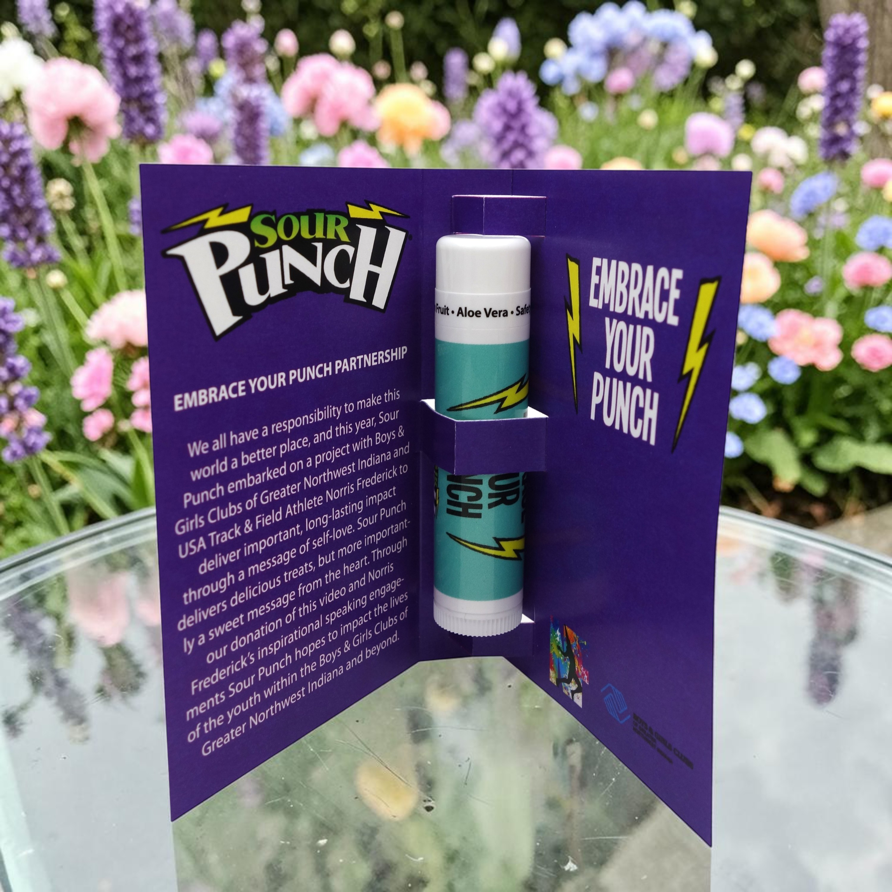 Tek Booklet 2 With Natural Lip Balm